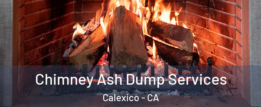  Chimney Ash Dump Services Calexico - CA