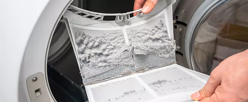 Best Dryer Lint Removal Company in Calexico, California