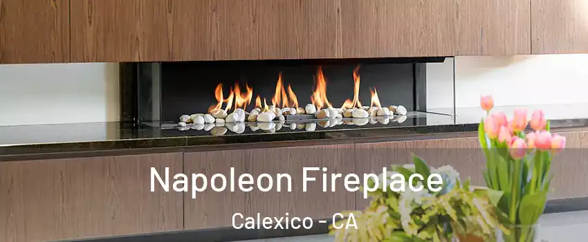  Napoleon Fireplace Calexico - CA